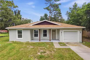 231 Chestnut Ave, Orange City, FL 32763 - Photo 1