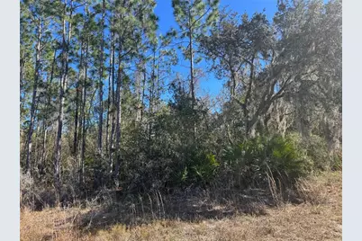 Grace Avenue, Deland, FL 32720 - Photo 2