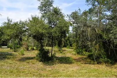 625 Lake Butler Avenue, Osteen, FL 32764 - Photo 1