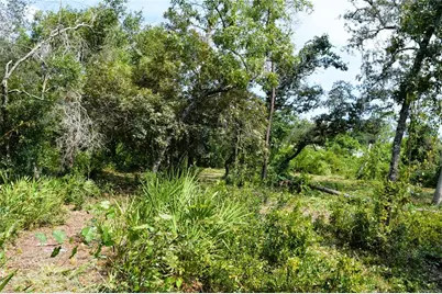 625 Lake Butler Avenue, Osteen, FL 32764 - Photo 8