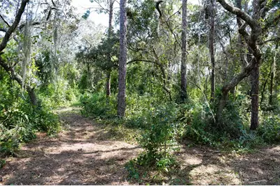 625 Lake Butler Avenue, Osteen, FL 32764 - Photo 2