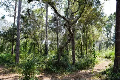 625 Lake Butler Avenue, Osteen, FL 32764 - Photo 4
