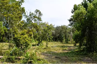625 Lake Butler Avenue, Osteen, FL 32764 - Photo 12