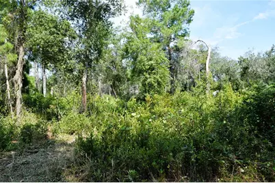 625 Lake Butler Avenue, Osteen, FL 32764 - Photo 16