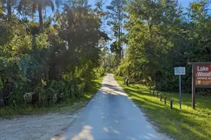 2290 Mud Lake Rd, De Leon Springs, FL 32130 - Photo 42