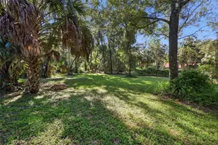 2290 Mud Lake Rd, De Leon Springs, FL 32130 - Photo 34