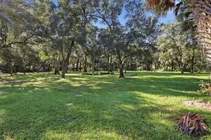 2290 Mud Lake Rd, De Leon Springs, FL 32130 - Photo 38