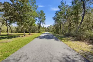 5444 US Hwy 17, De Leon Springs, FL 32130 - Photo 98