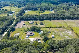 870 Co Rd 65, Bunnell, FL 32110 - Photo 86