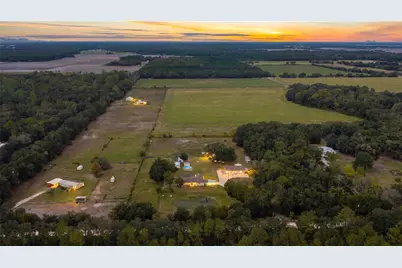 870 County Road 65, Bunnell, FL 32110 - Photo 4