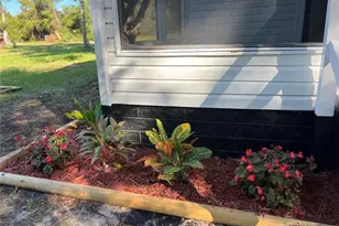 45518 Oak St, Paisley, FL 32767 - Photo 40