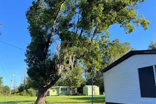 45518 Oak St, Paisley, FL 32767 - Photo 6
