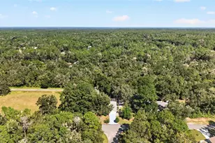 8879 N Sandree Dr, Citrus Springs, FL 34434 - Photo 94