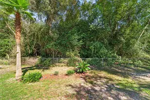 8879 N Sandree Dr, Citrus Springs, FL 34434 - Photo 60
