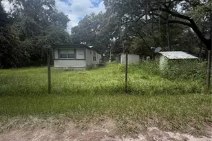 205 Little Star Rd, Hawthorne, FL 32640 - Photo 4