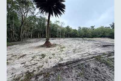 2295 Canal Street, Oviedo, FL 32765 - Photo 6