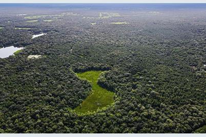 Ponce De Leon Boulevard, Brooksville, FL 34601 - Photo 10