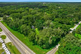 1026 Roosevelt Ave, Spring Hill, FL 34604 - Photo 4