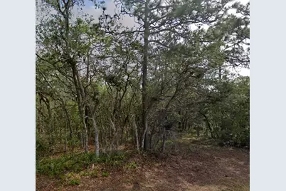 10 Milbark Drive, Homosassa, FL 34446 - Photo 1