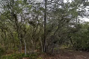 10 Milbark Dr, Homosassa, FL 34446 - Photo 1