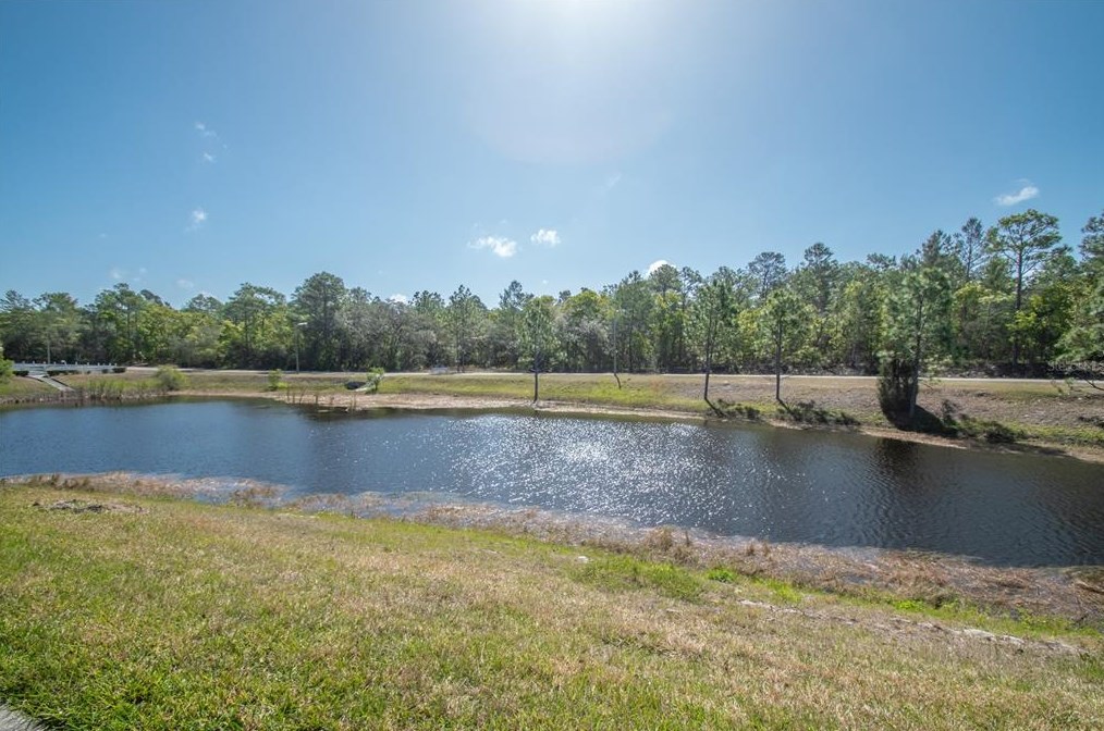 8172 Sturbridge Ct, Brooksville, FL 34613-7520