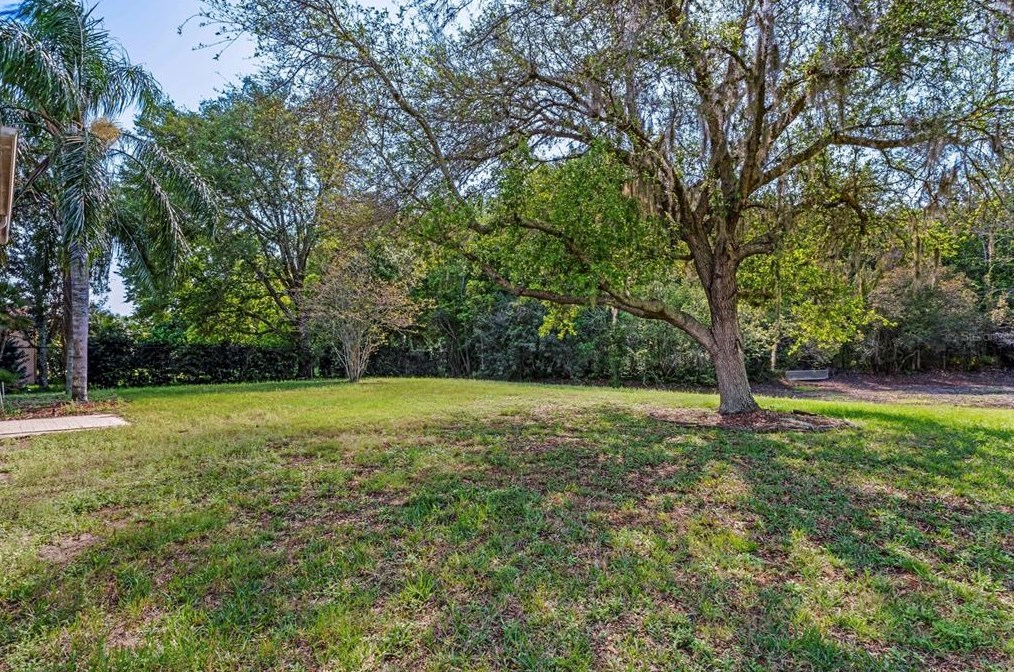 6511 Alcester Dr, New Port Richey FL 34655-3714 exterior