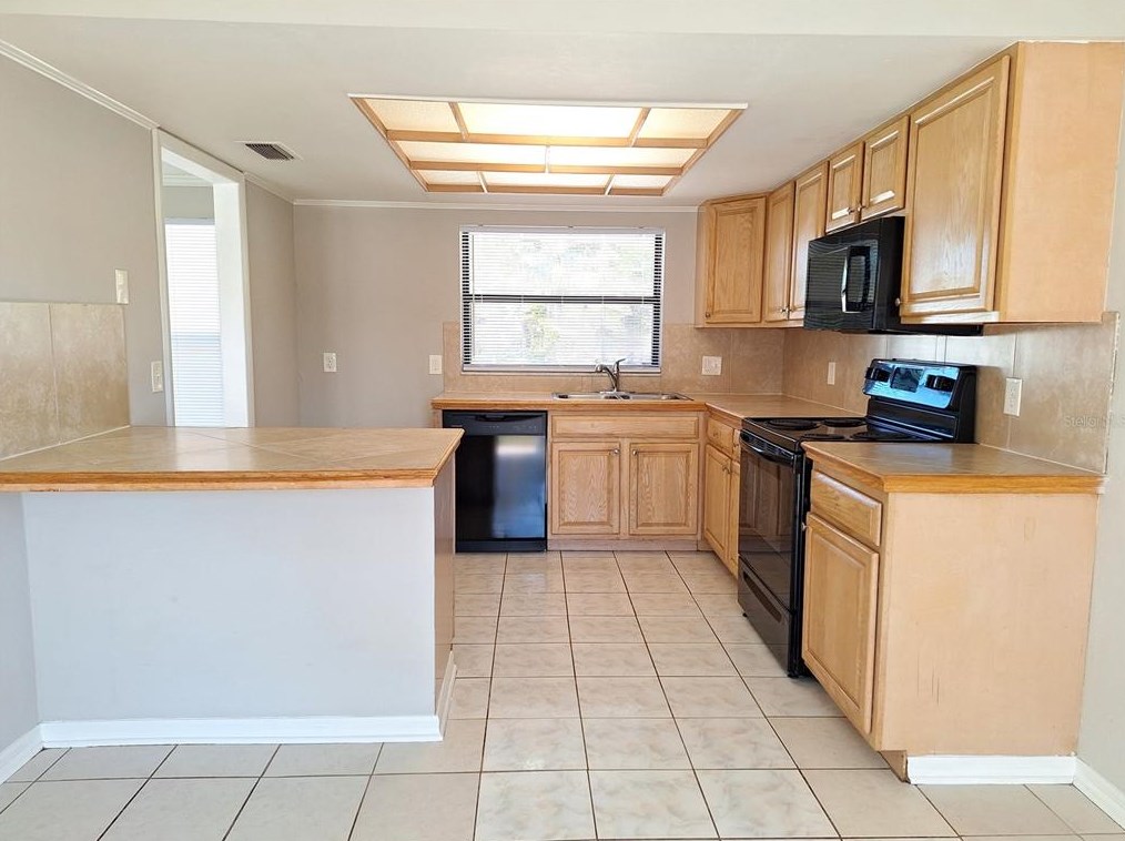 1139 Elmendorf Trce, Tarpon Springs, FL 34689-2919