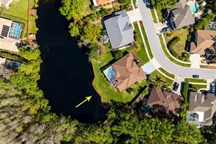 21312 Preservation Dr, Land O Lakes, FL 34638 - Photo 54