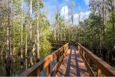 21312 Preservation Drive, Land O Lakes, FL 34638 - Photo 50