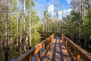 21312 Preservation Dr, Land O Lakes, FL 34638 - Photo 50