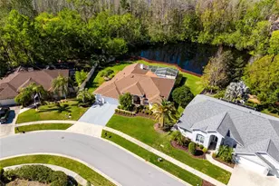 21312 Preservation Dr, Land O Lakes, FL 34638 - Photo 6