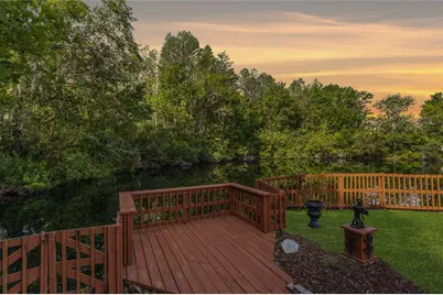 21312 Preservation Drive, Land O Lakes, FL 34638 - Photo 46