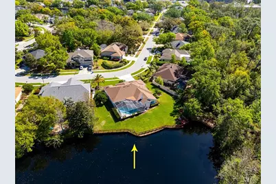 21312 Preservation Drive, Land O Lakes, FL 34638 - Photo 4