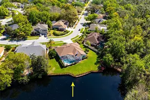 21312 Preservation Dr, Land O Lakes, FL 34638 - Photo 4