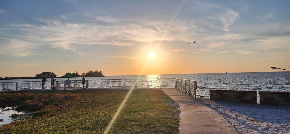 7210 Cheshire Ct, Port Richey FL  34667-1447 exterior