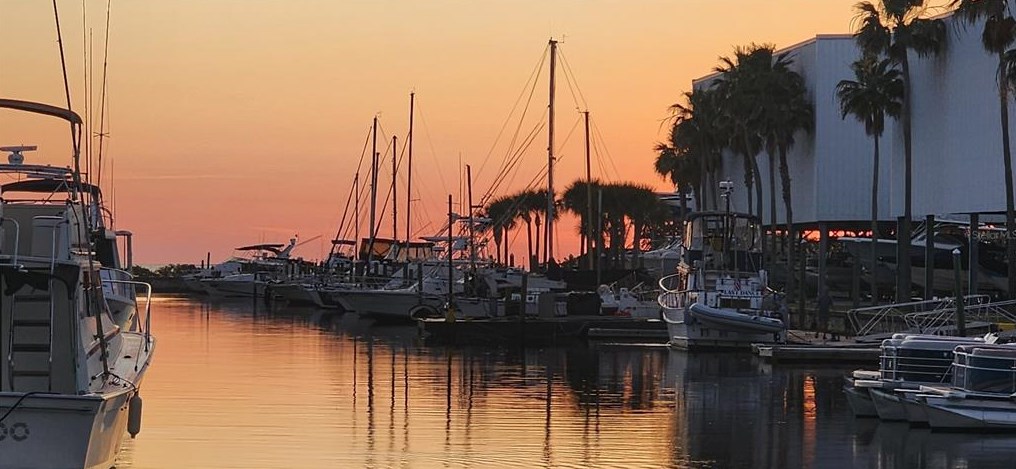 7210 Cheshire Ct, Port Richey FL  34667-1447 exterior