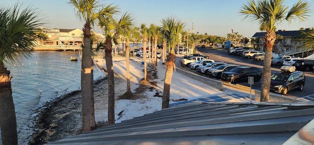 7210 Cheshire Ct, Port Richey FL  34667-1447 exterior