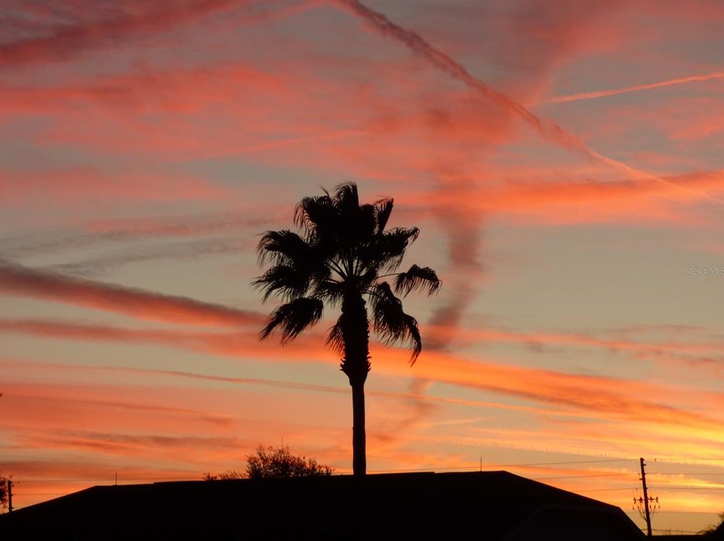 4429 Whitton Way, New Port Richey FL  34653-6366 exterior