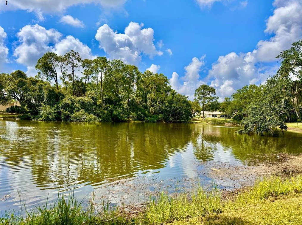 8020 Wild Flower Row, Port Richey FL  34667-2453 exterior