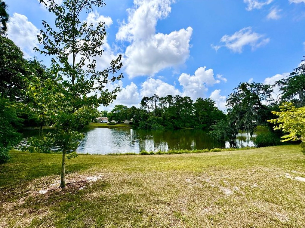 8020 Wild Flower Row, Port Richey, FL 34667