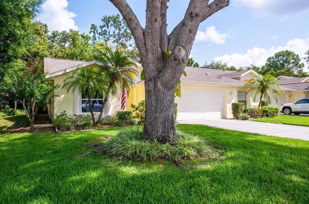 7515 Moorgate Ct, New Port Richey FL  34654-6214 exterior