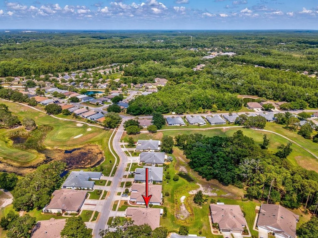 11634 Holly Ann Dr, New Port Richey FL 34654-1732 exterior