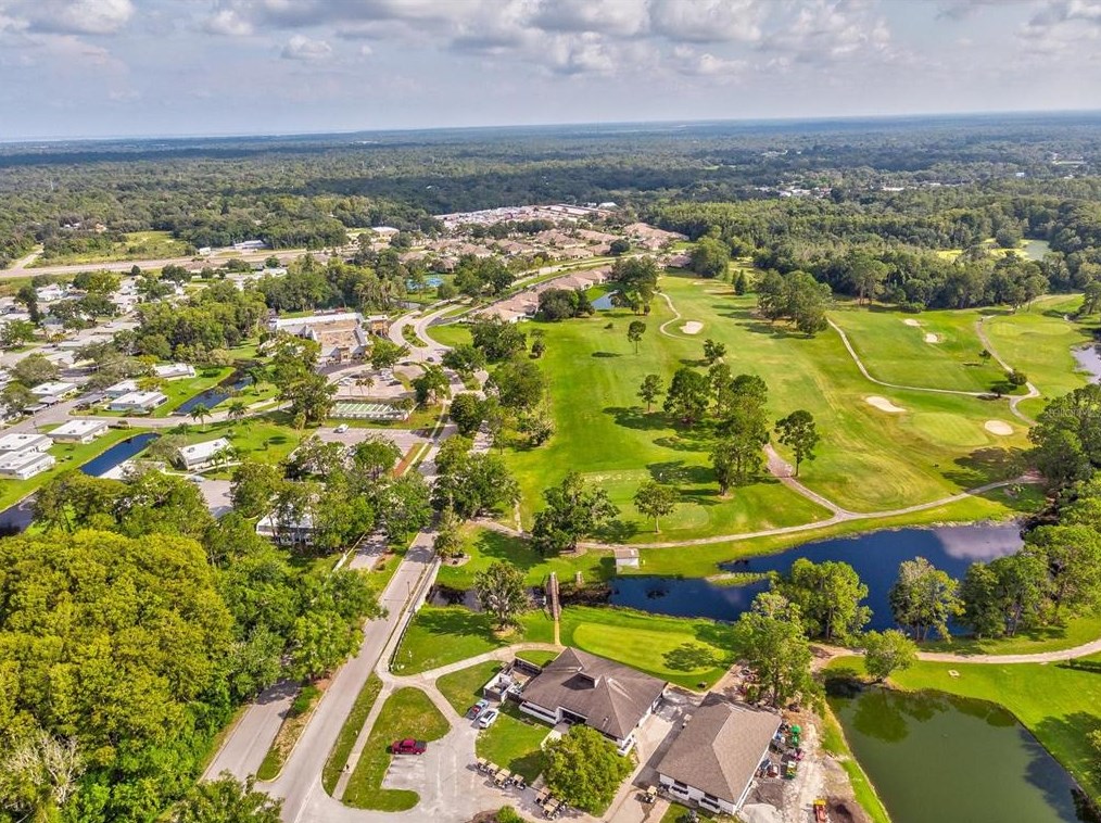 11634 Holly Ann Dr, New Port Richey FL 34654-1732 exterior