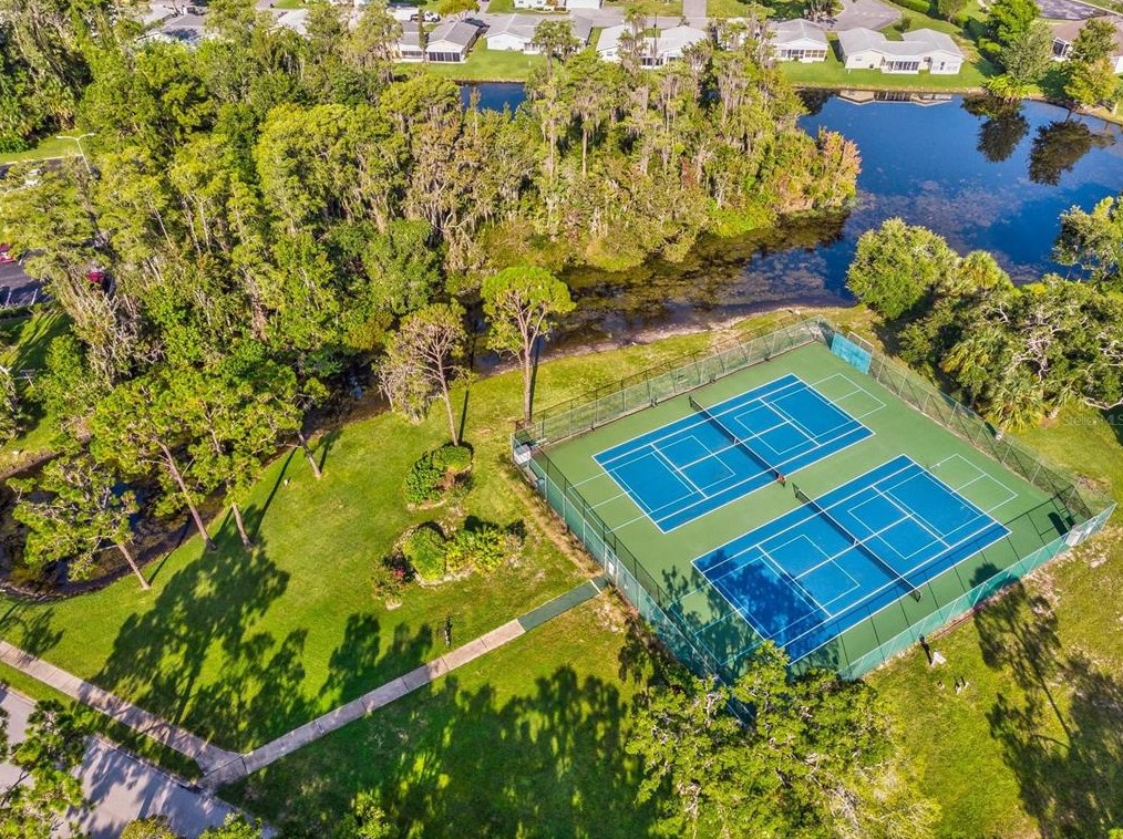 11634 Holly Ann Dr, New Port Richey FL 34654-1732 exterior