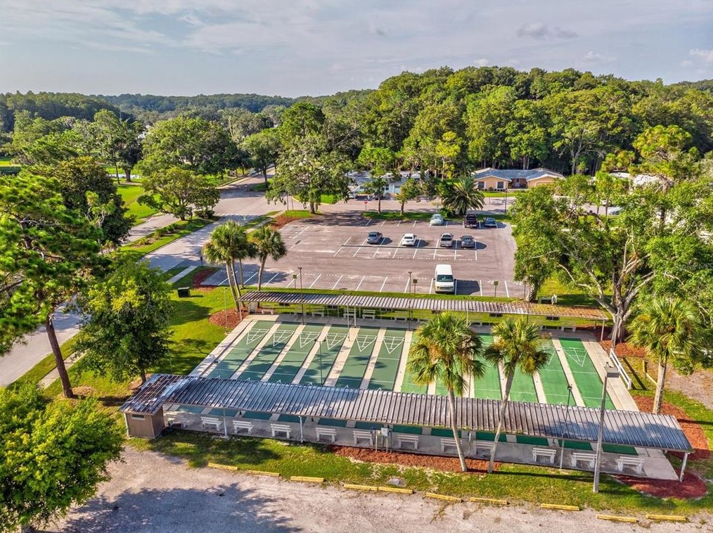 11634 Holly Ann Dr, New Port Richey FL 34654-1732 exterior