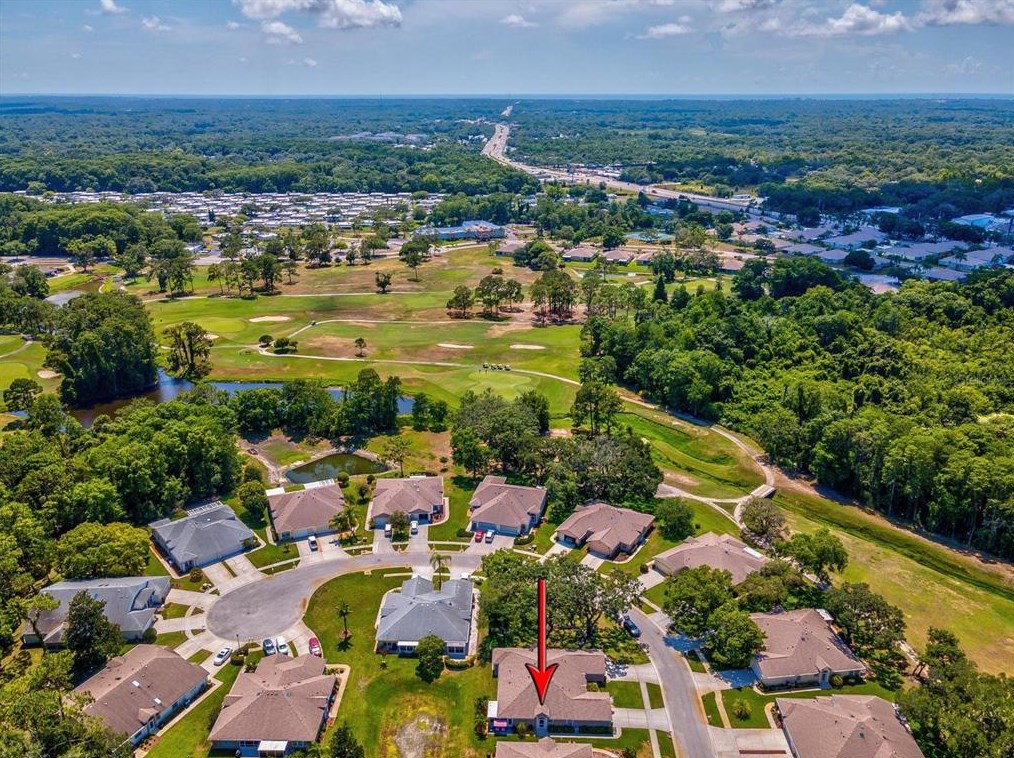 11634 Holly Ann Dr, New Port Richey FL 34654-1732 exterior