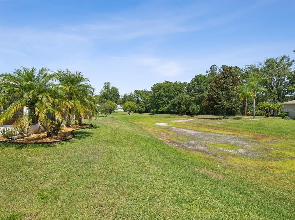 11634 Holly Ann Dr, New Port Richey FL 34654-1732 exterior