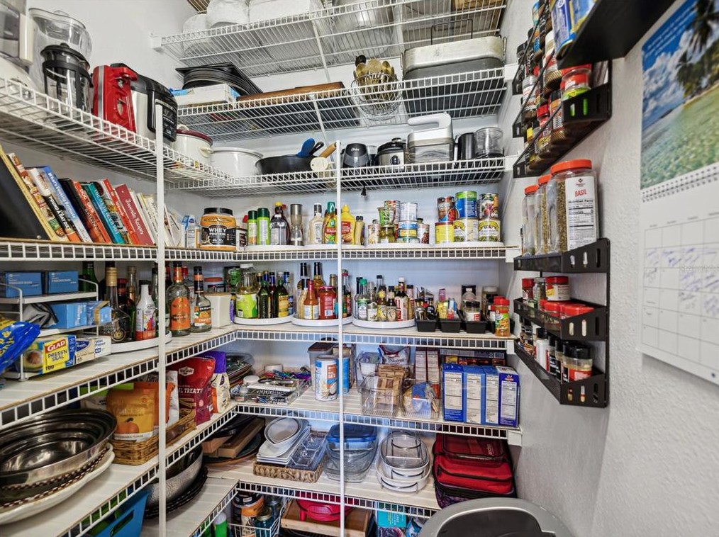 11634 Holly Ann Dr, New Port Richey FL 34654-1732 exterior