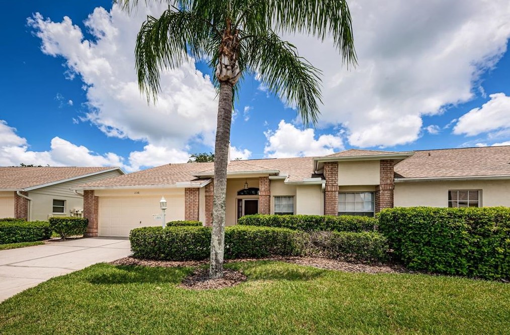 1136 Flora Vista St, New Port Richey, FL 34655