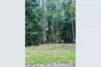 8681 N Wallingford Avenue, Citrus Springs, FL 34434 - Photo 2